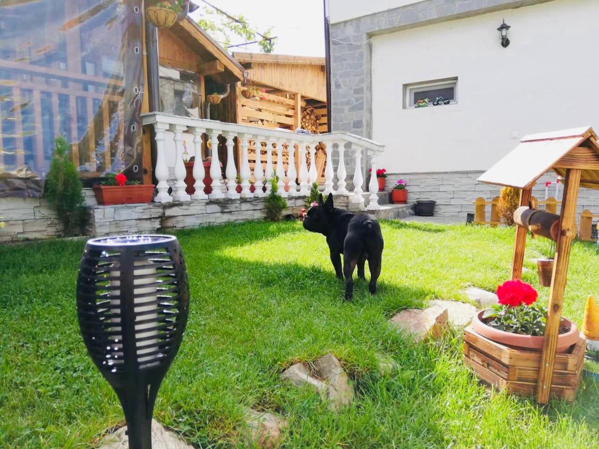 Guest House Grahlyov Sapareva Banya Exterior photo